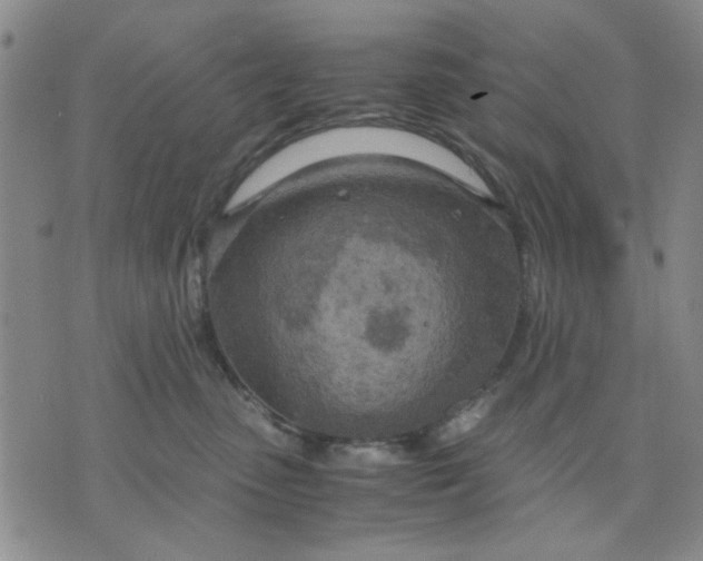 X0000071830475200607141705