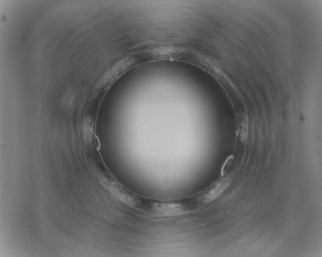 X0000071830476200607141705