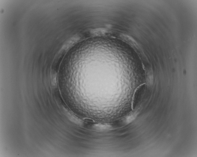 X0000071830477200607141705