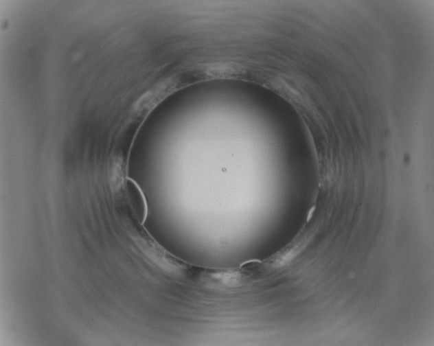 X0000071830478200607141705