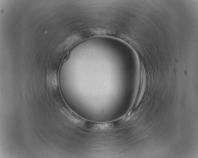 X0000071830479200607141705