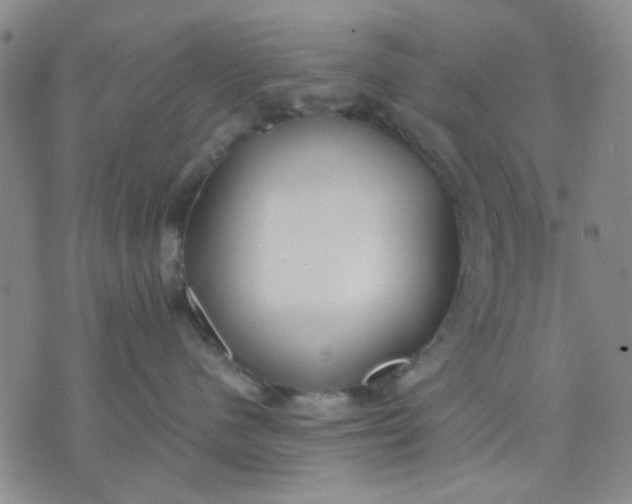 X0000071830480200607141705