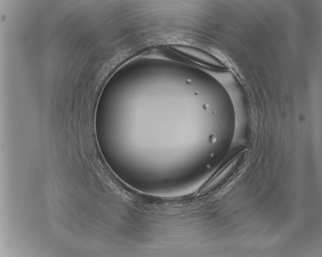 X0000071830481200607141704