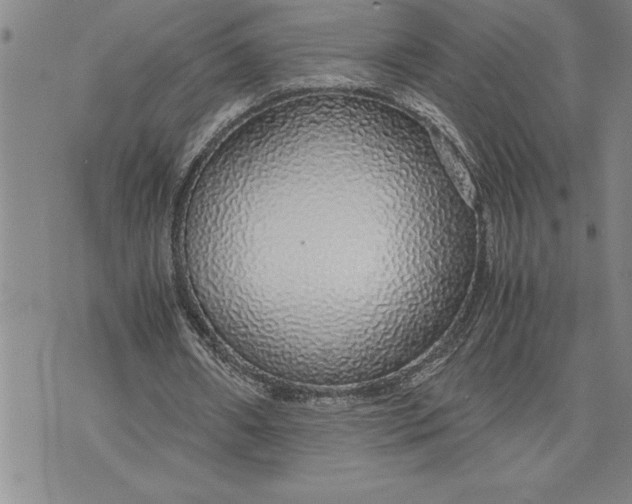 X0000071830482200607141704