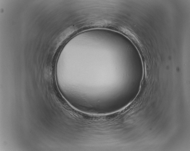 X0000071830483200607141704