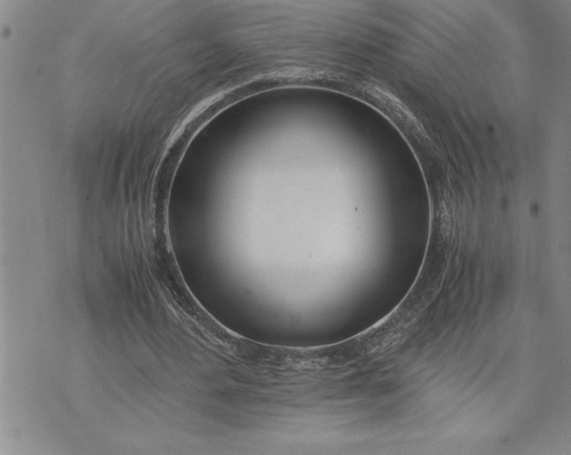 X0000071830484200607141704