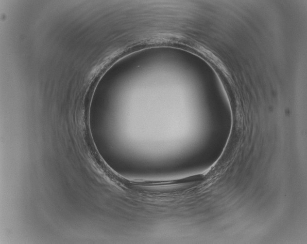 X0000071830485200607141704