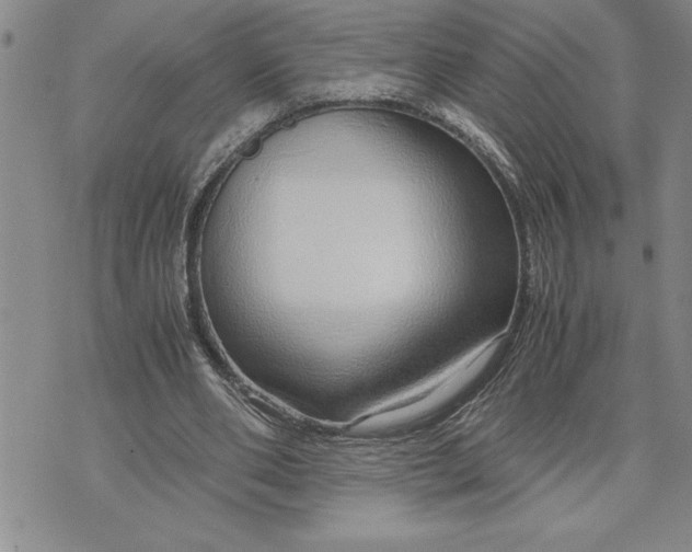 X0000071830486200607141704