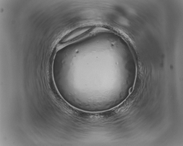 X0000071830487200607141704