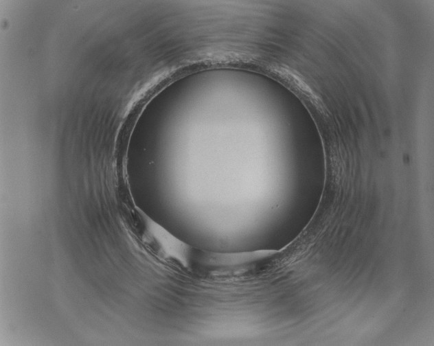 X0000071830488200607141704