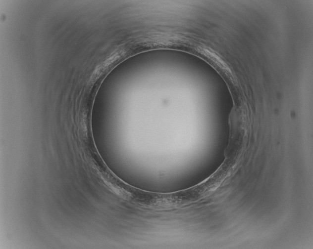 X0000071830489200607141704