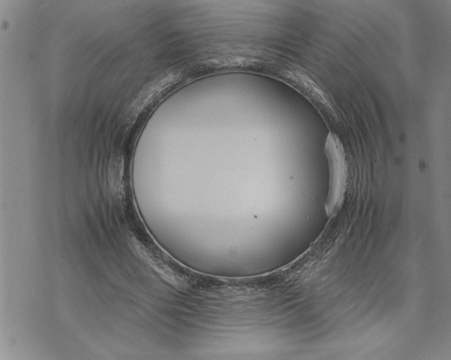 X0000071830490200607141704