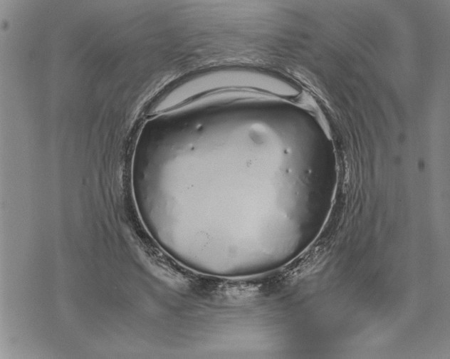 X0000071830491200607141704