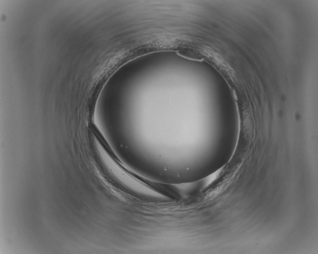 X0000071830493200607141704