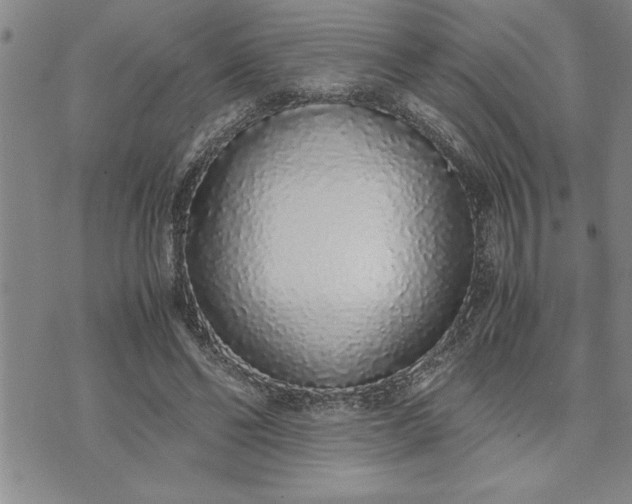 X0000071830494200607141704