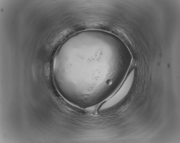 X0000071830495200607141704