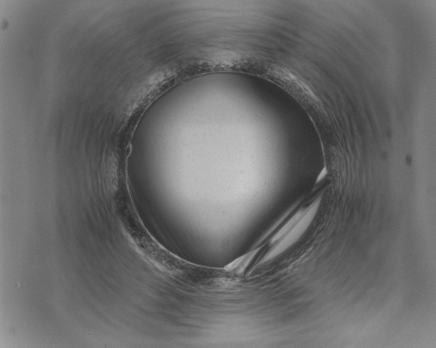 X0000071830496200607141704