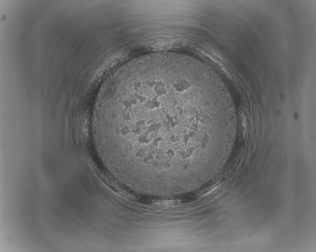 X0000071830499200607141704