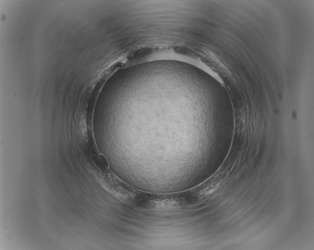 X0000071830500200607141704