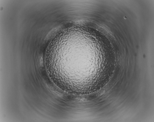 X0000071830502200607141704