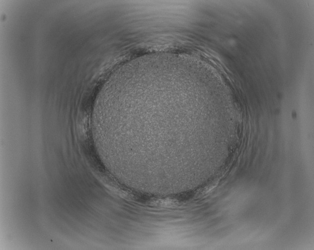 X0000071830503200607141704