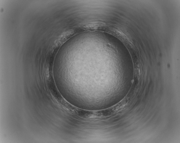 X0000071830504200607141704