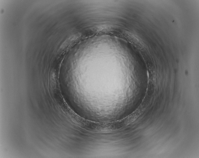 X0000071830506200607141703