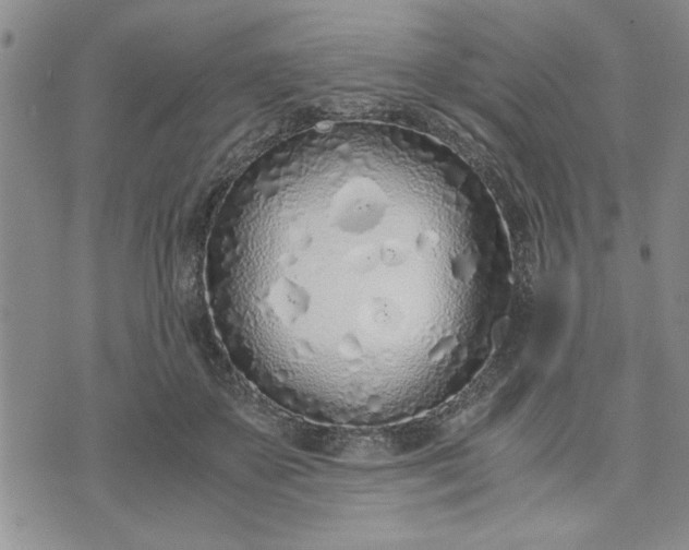 X0000071830507200607141703