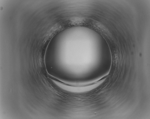 X0000071830508200607141703