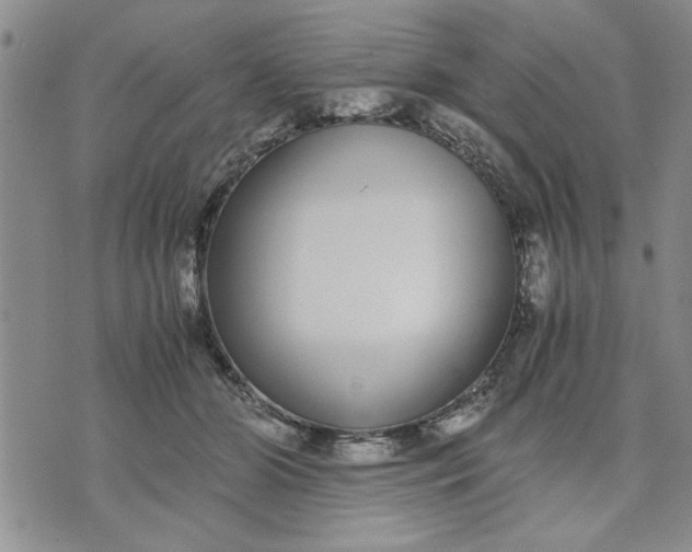 X0000071830510200607141703