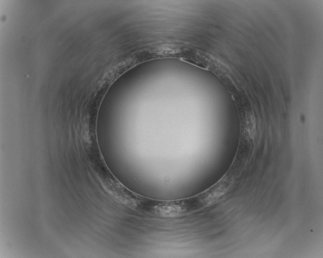 X0000071830512200607141703