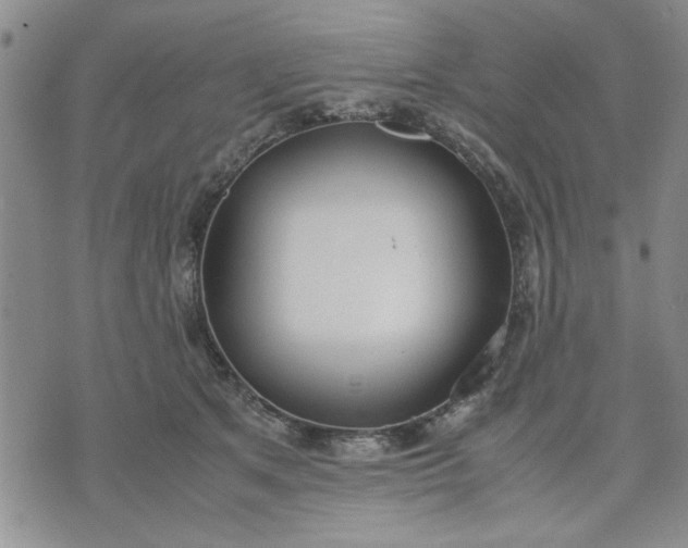 X0000071830513200607141703