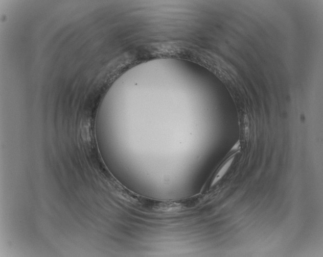 X0000071830514200607141703