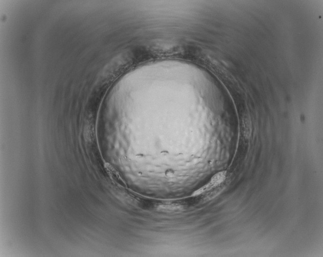 X0000071830515200607141703