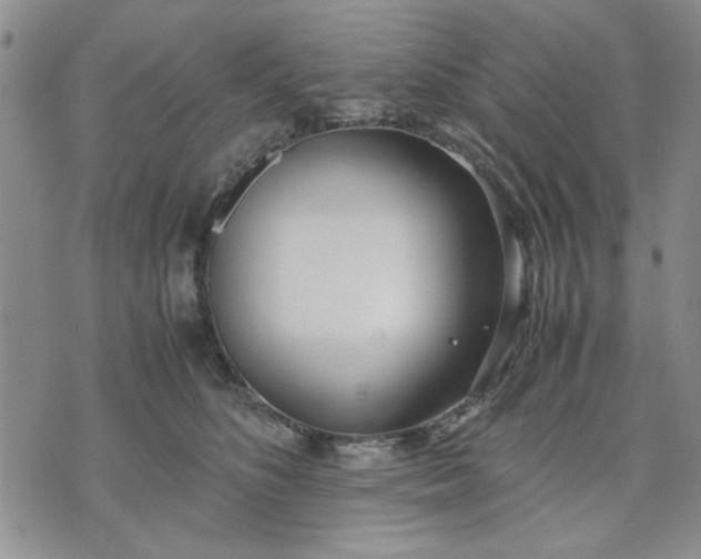 X0000071830516200607141703