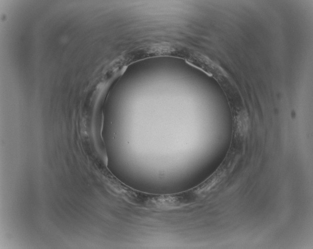 X0000071830517200607141703