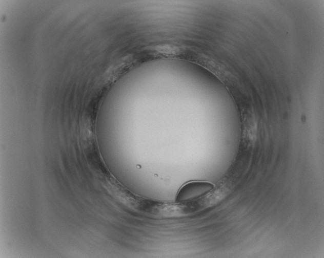 X0000071830518200607141703