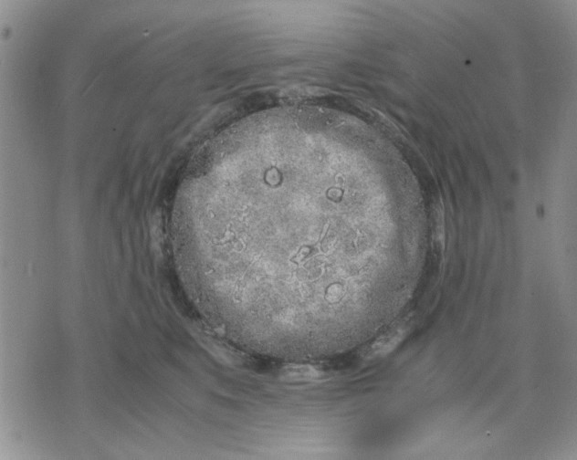 X0000071830519200607141703