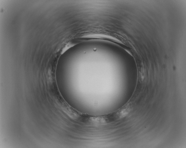 X0000071830520200607141703