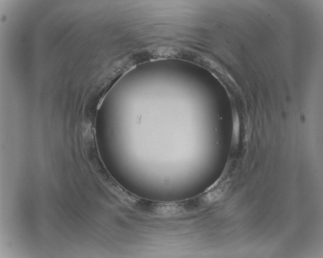 X0000071830521200607141703