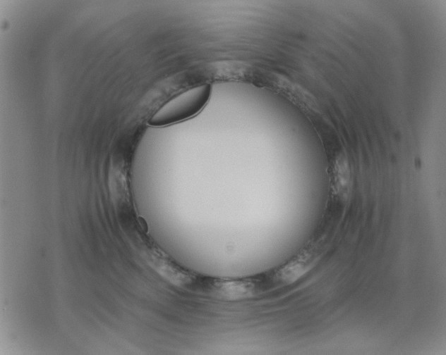 X0000071830522200607141703