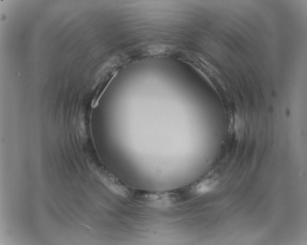 X0000071830524200607141703