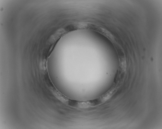 X0000071830525200607141703