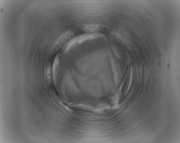 X0000071830526200607141703