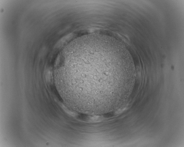 X0000071830527200607141703