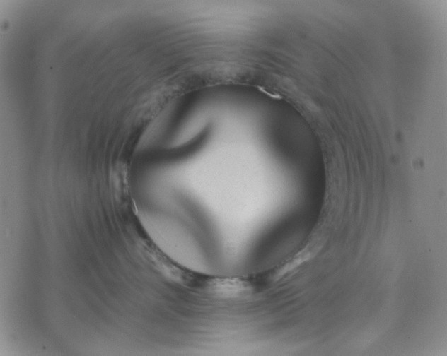 X0000071830528200607141703