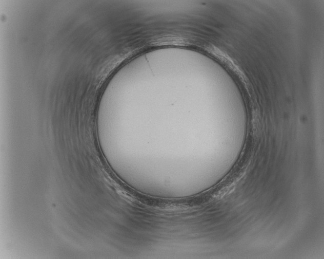 X0000071830529200607141702