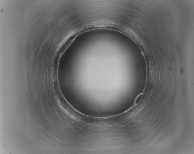 X0000071830530200607141702