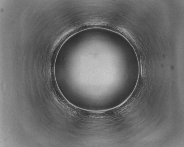 X0000071830531200607141702