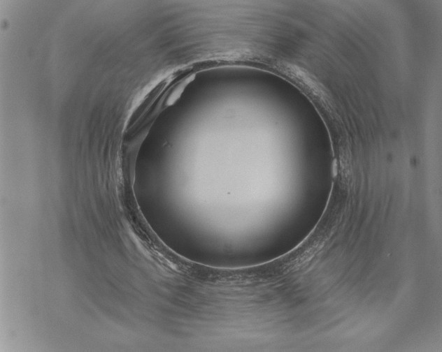 X0000071830532200607141702